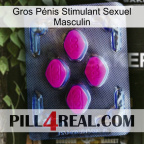 Gros Pénis Stimulant Sexuel Masculin 02